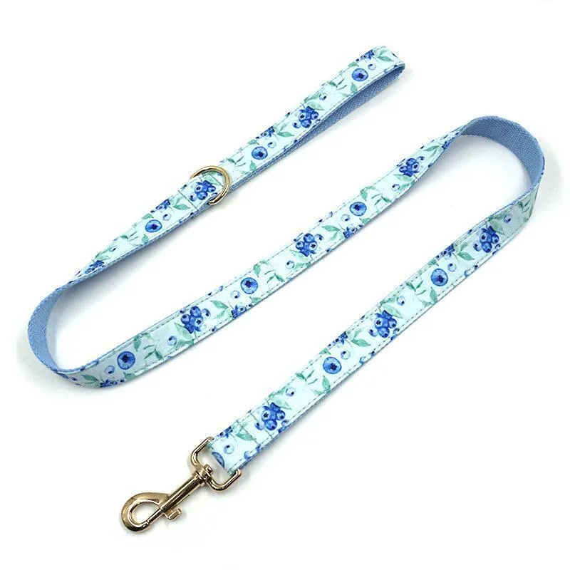 5 PCS Personalized Dog Collar & Harness Leash Set