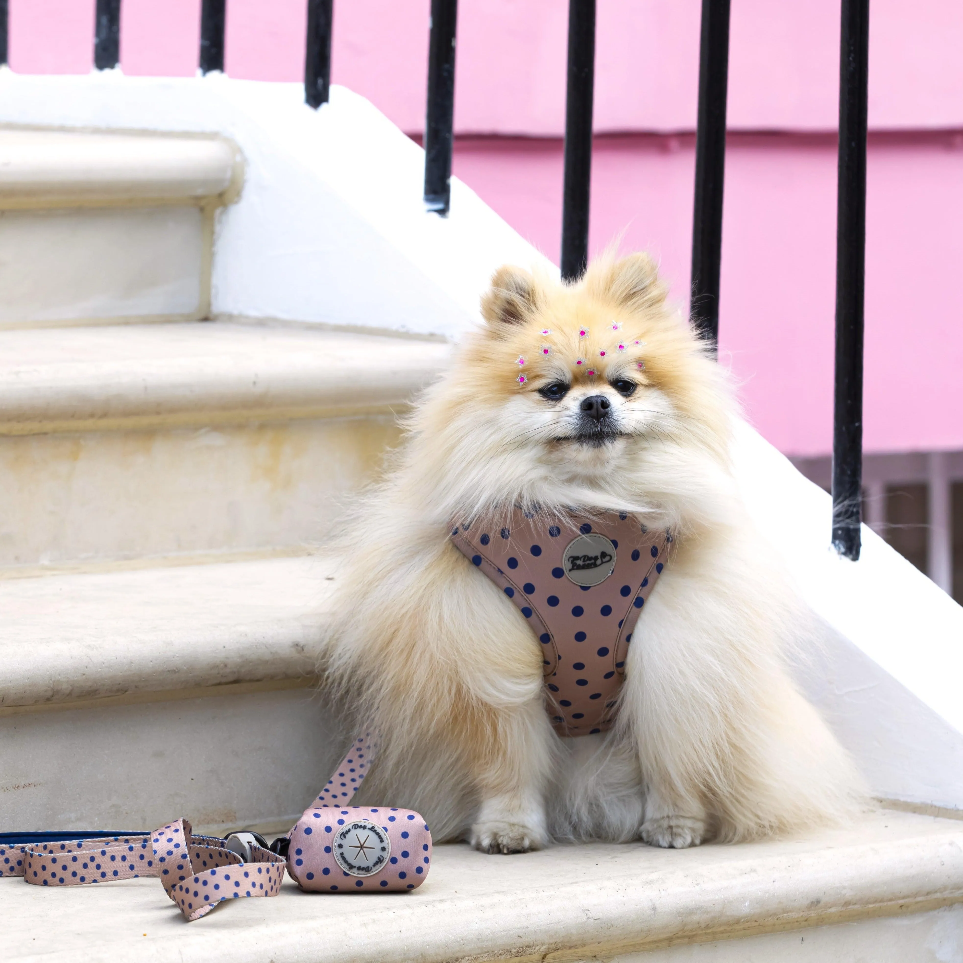Adjustable Dog Harness Fashion Icon