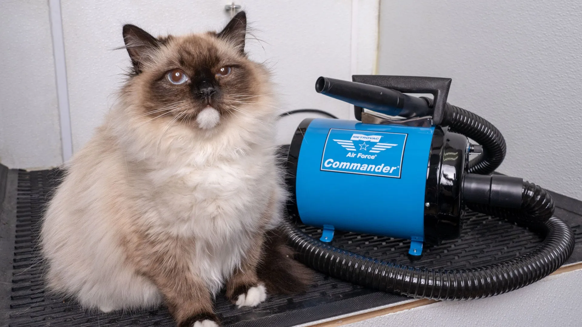 Air Force® Commander® Variable Speed Pet Dryer