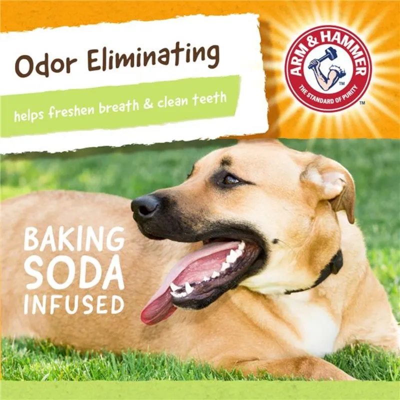 Arm & Hammer Rock-N-Roller Dog Chew Toy