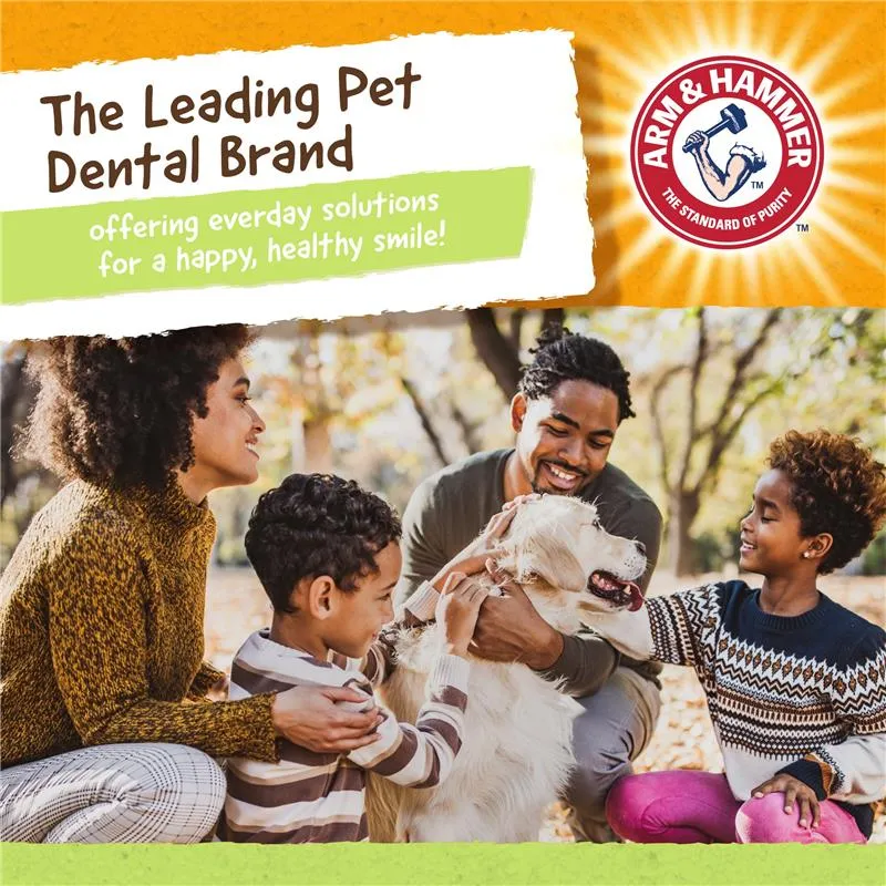 Arm & Hammer Rock-N-Roller Dog Chew Toy