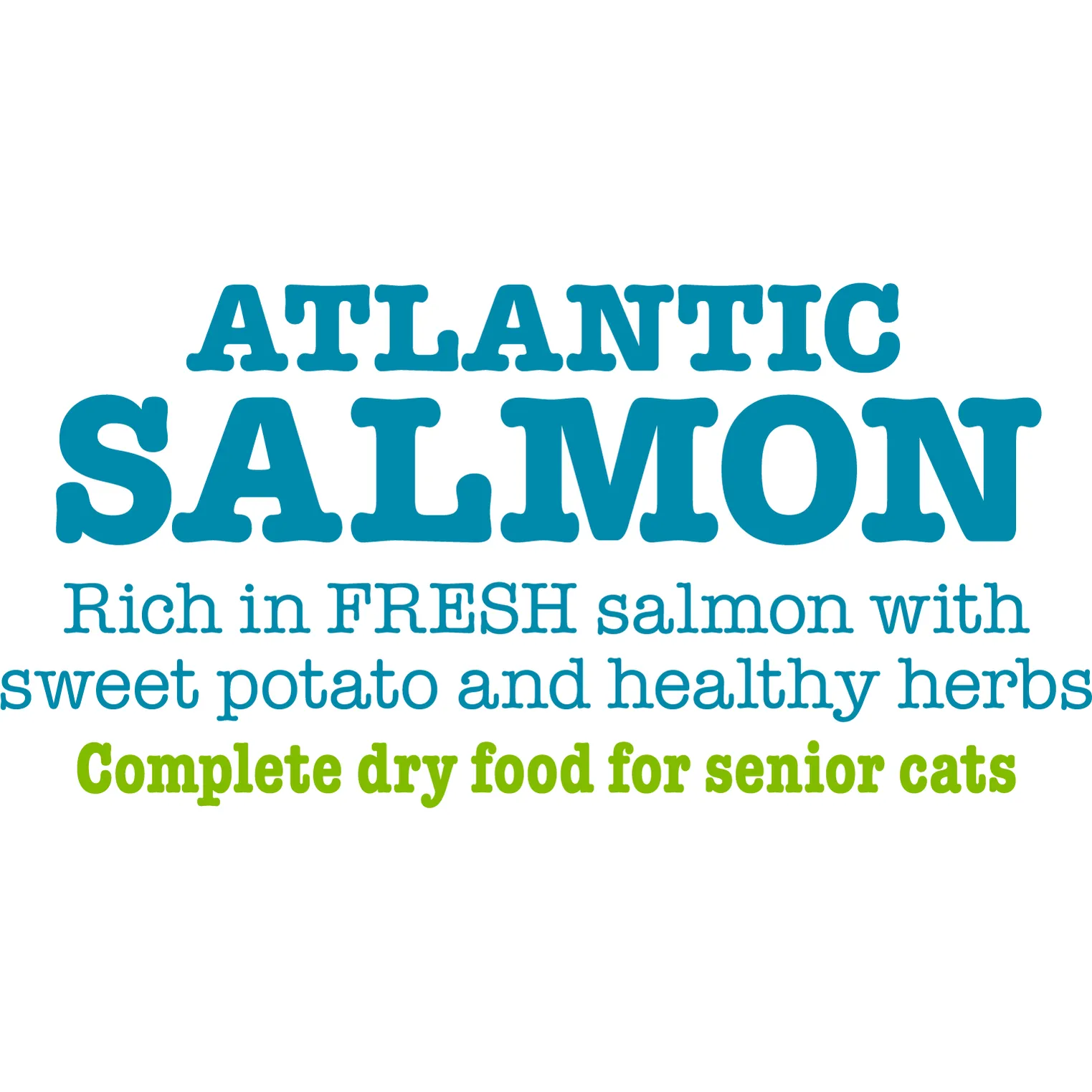 Atlantic Salmon Complete dry food for Senior Cats 1.5KG /Little BigPaw