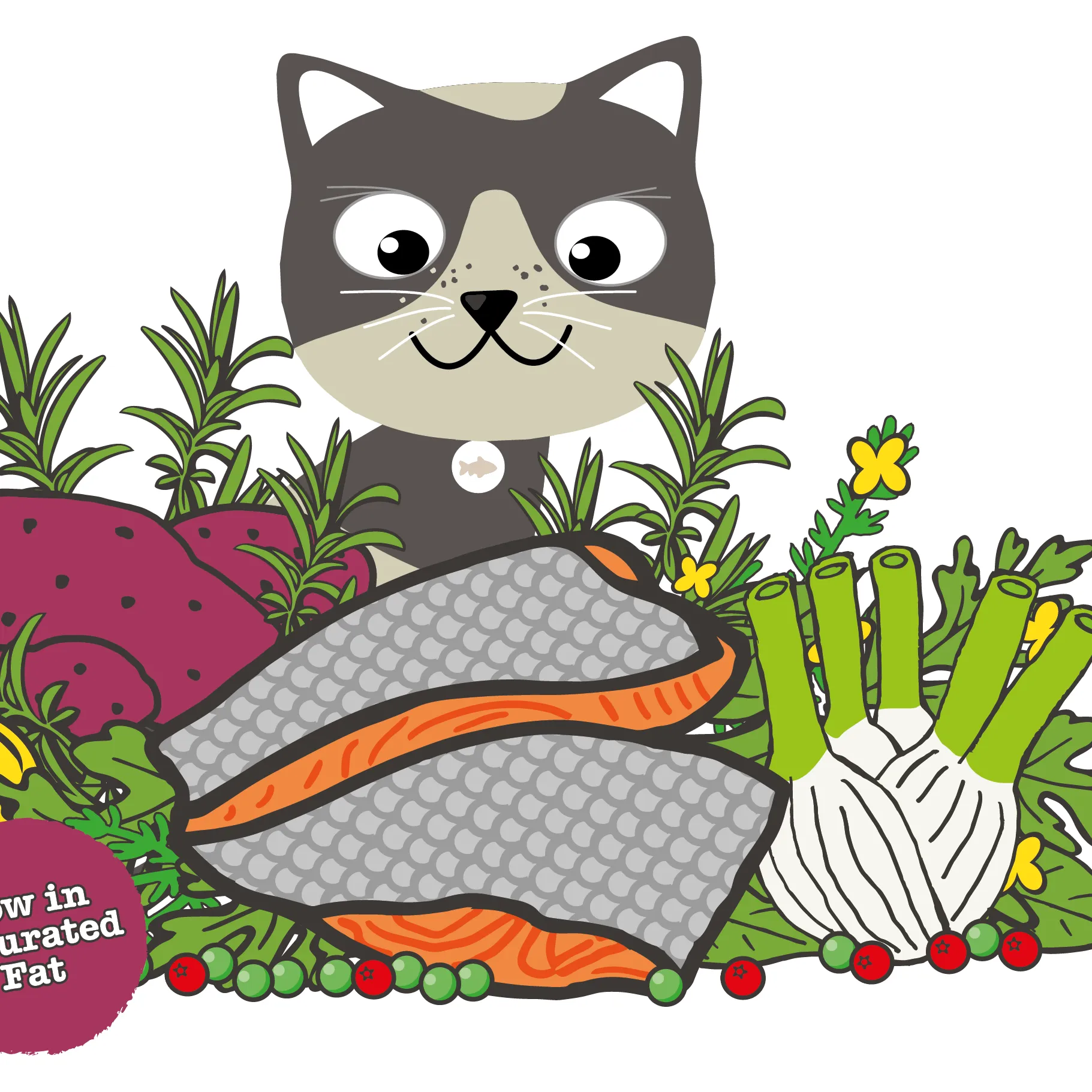 Atlantic Salmon Complete dry food for Senior Cats 1.5KG /Little BigPaw