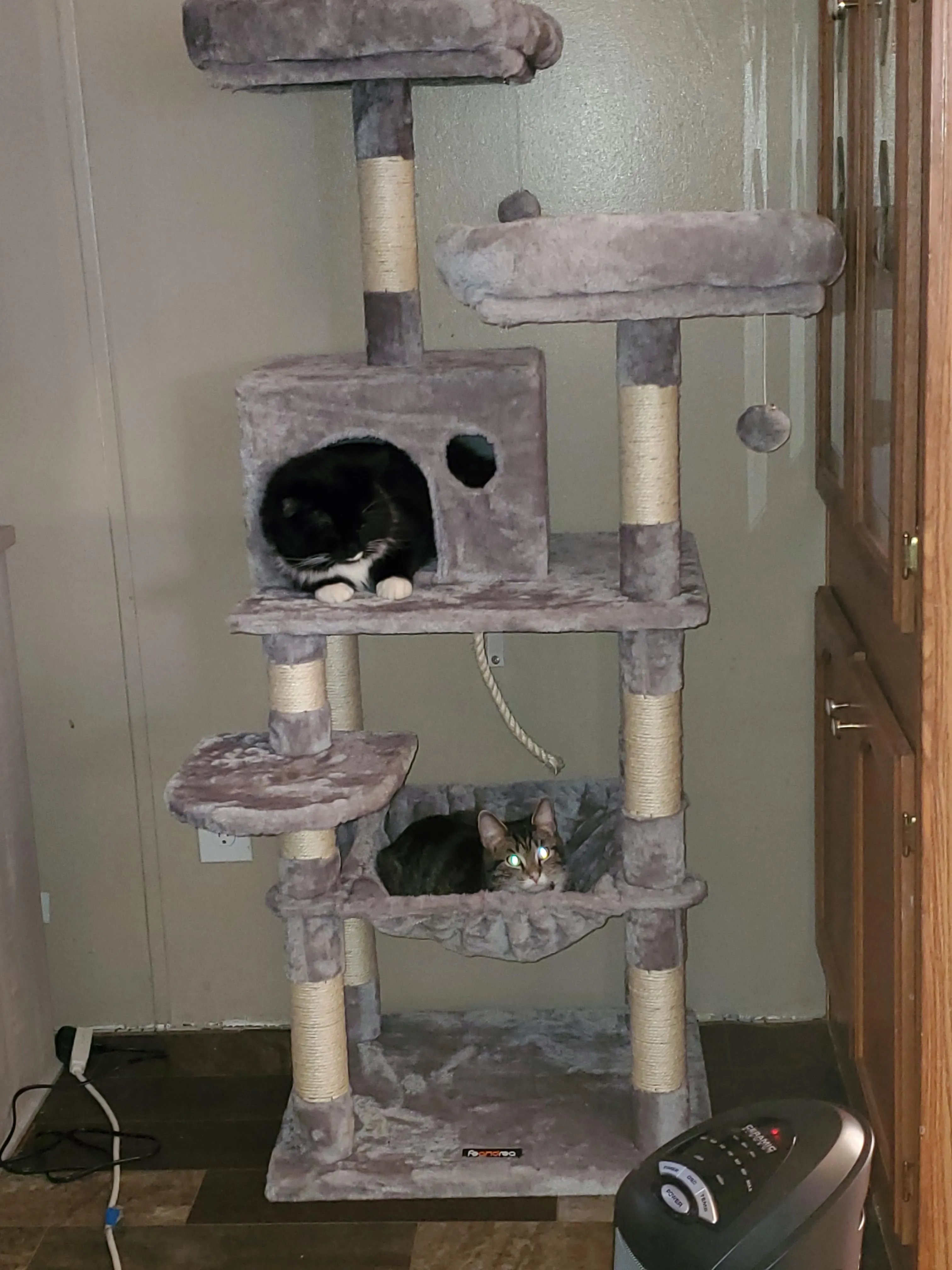 Cat Tree with Sisal-Covered Scratching Posts | Plush Perches | 55" Multi-Level