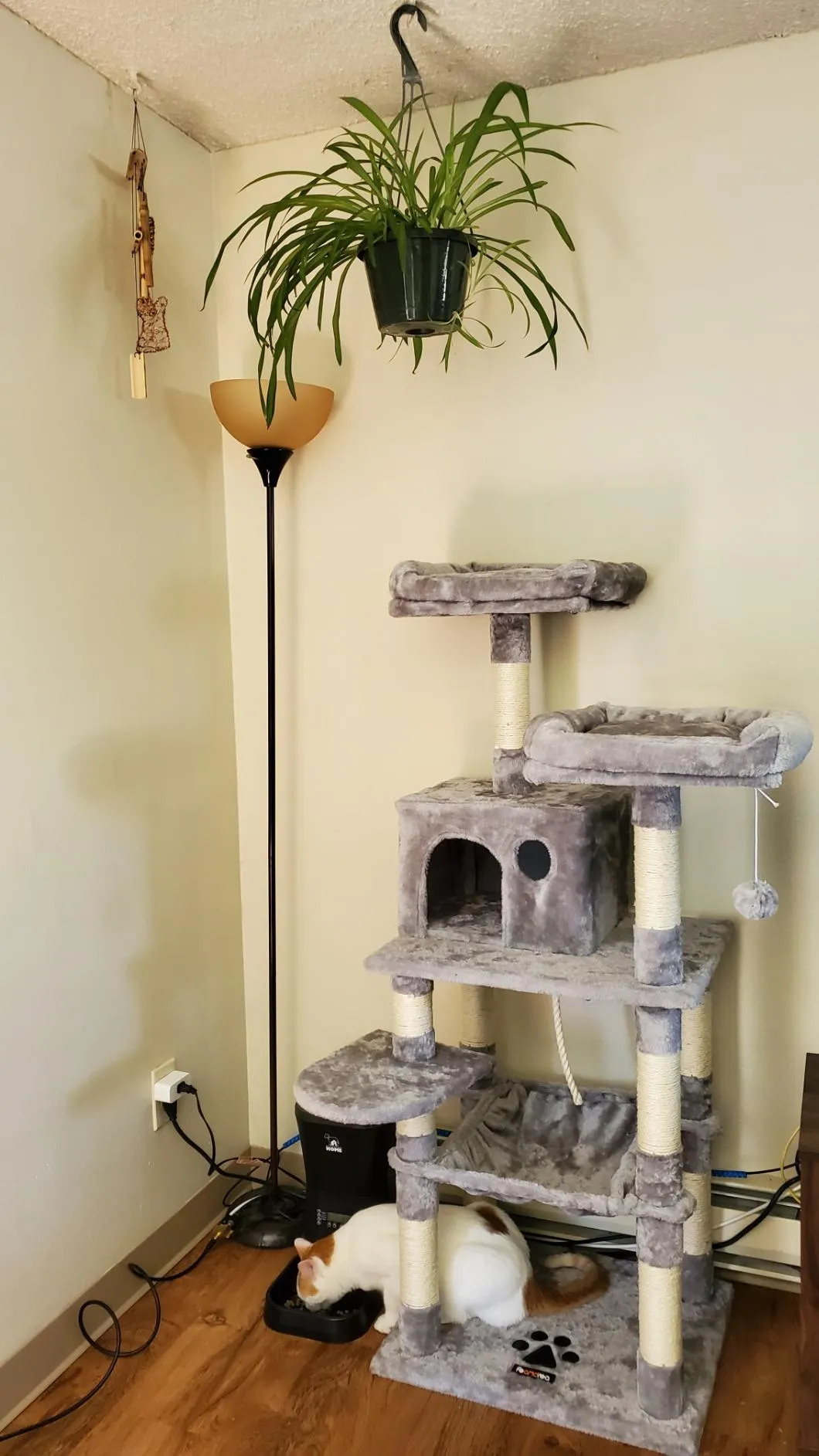 Cat Tree with Sisal-Covered Scratching Posts | Plush Perches | 55" Multi-Level