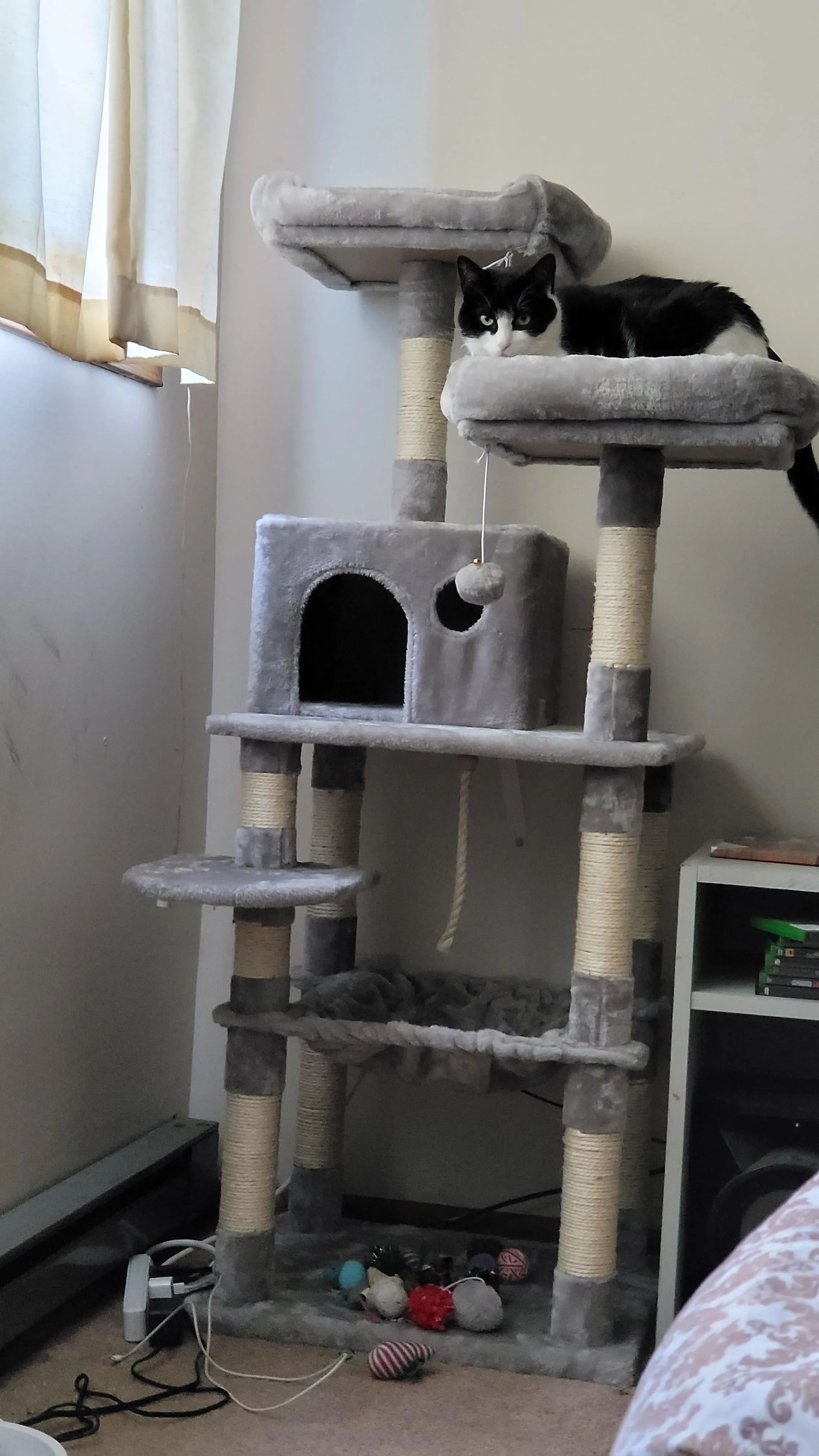 Cat Tree with Sisal-Covered Scratching Posts | Plush Perches | 55" Multi-Level