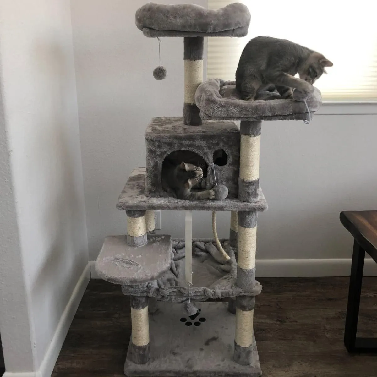 Cat Tree with Sisal-Covered Scratching Posts | Plush Perches | 55" Multi-Level