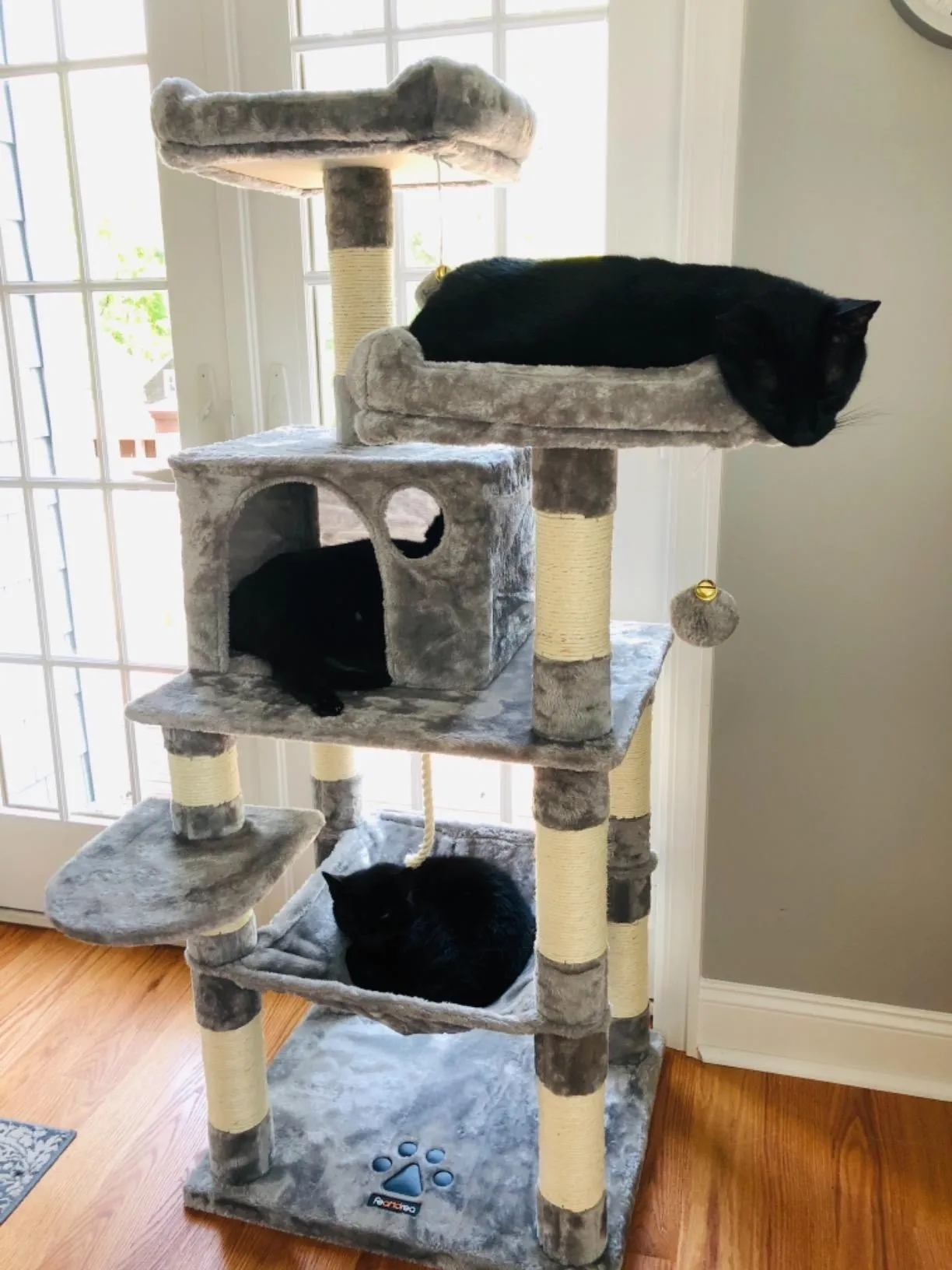 Cat Tree with Sisal-Covered Scratching Posts | Plush Perches | 55" Multi-Level