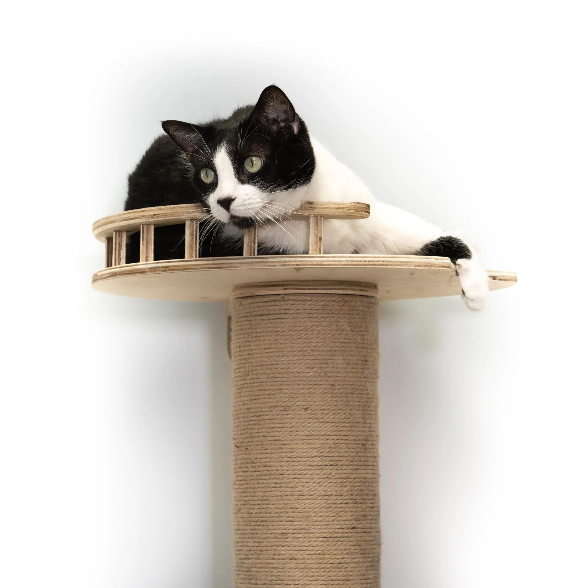 CatHaven™ Five-Level Wall Mounted Activity Cat Tree - NEW!!!
