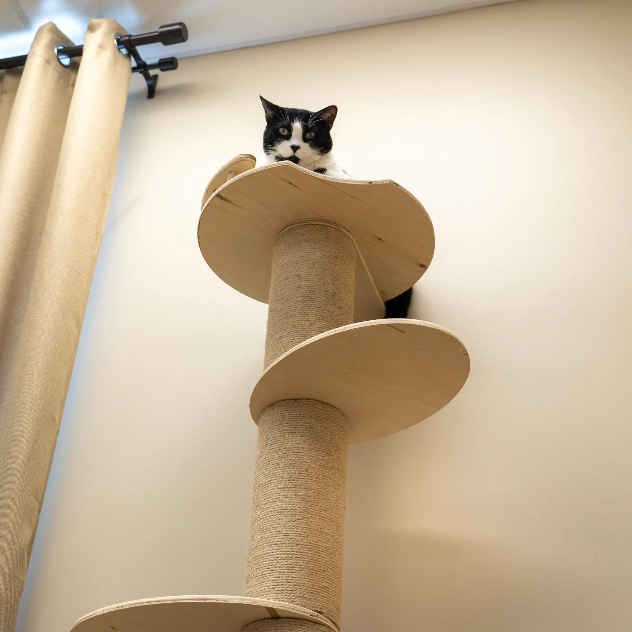 CatHaven™ Five-Level Wall Mounted Activity Cat Tree - NEW!!!