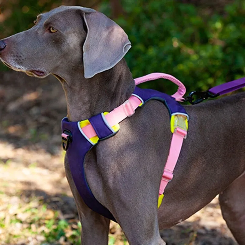 Dog Harness Adjustable Liftable Harness Reflective Pet Leads Vest
