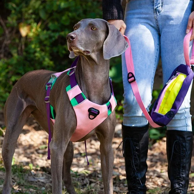 Dog Harness Adjustable Liftable Harness Reflective Pet Leads Vest