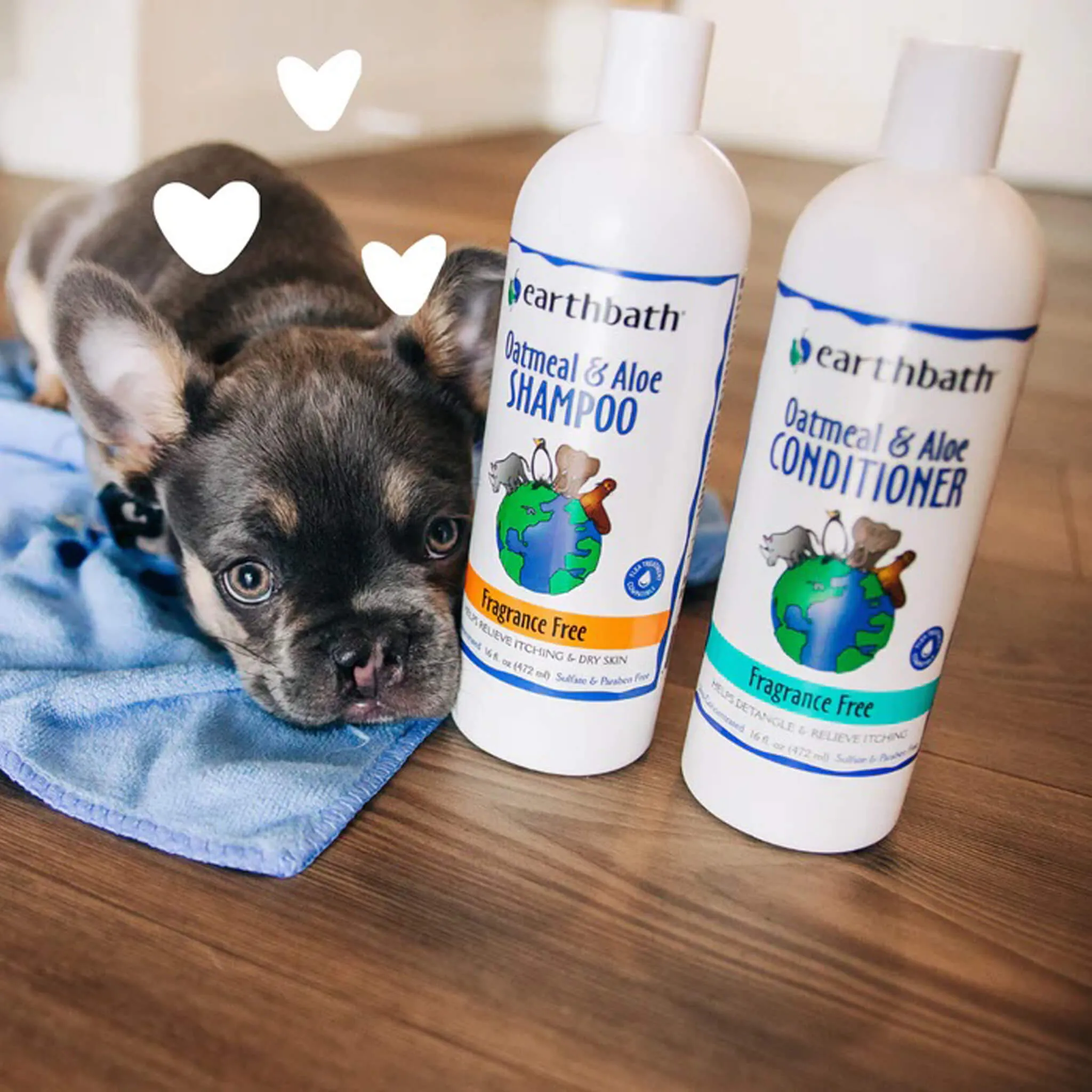 Earthbath Totally Natural Pet Care Sulfate & Paraben Free Dog & Cat Shampoo