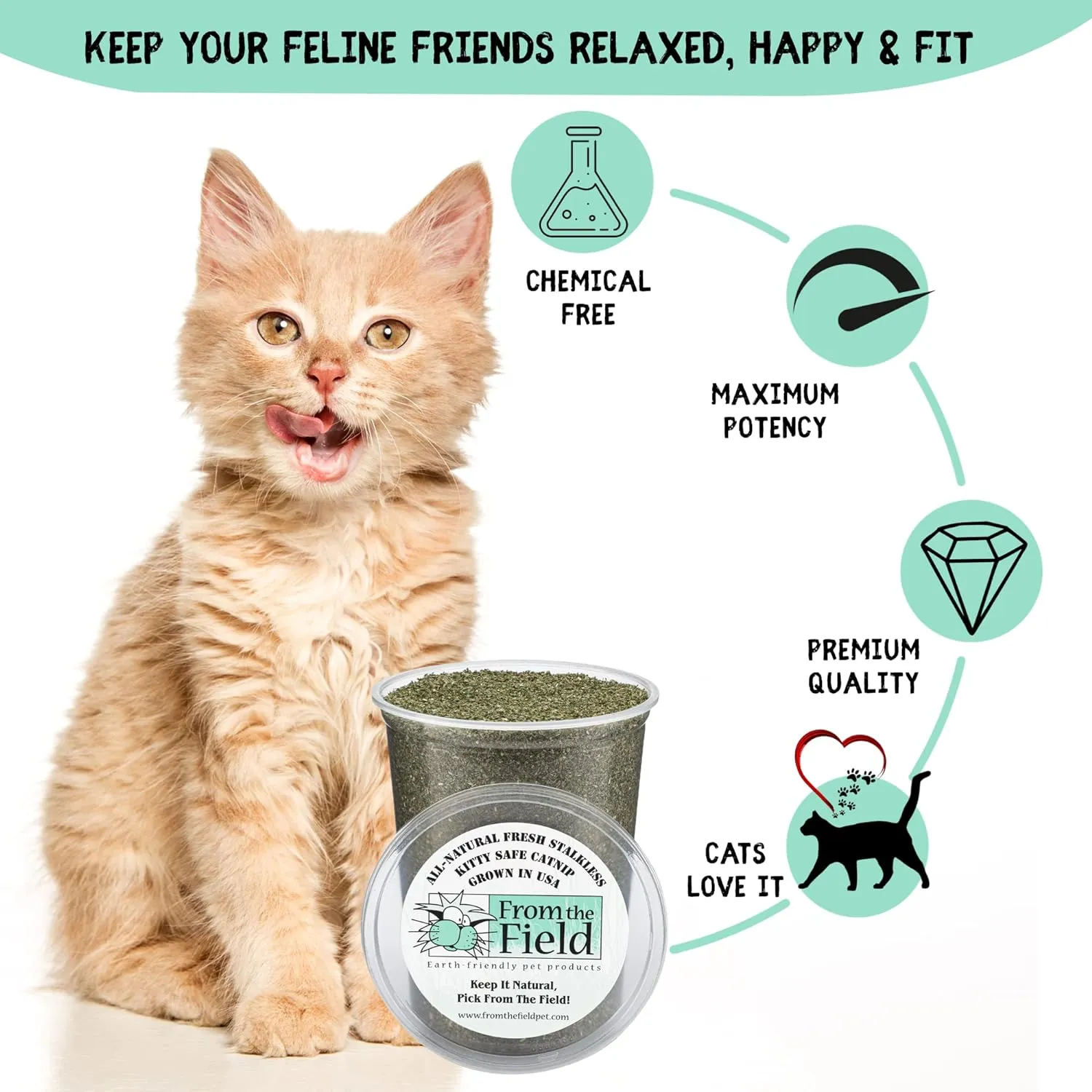from The Field | Fine Ground Stalkless Catnip | Premium USA-Grown Catnip for Toys & Playtime | Fresh, Potent, Non-Toxic, Eco-Friendly | Safe for Kittens & Cats | Resealable 3 Oz Bag