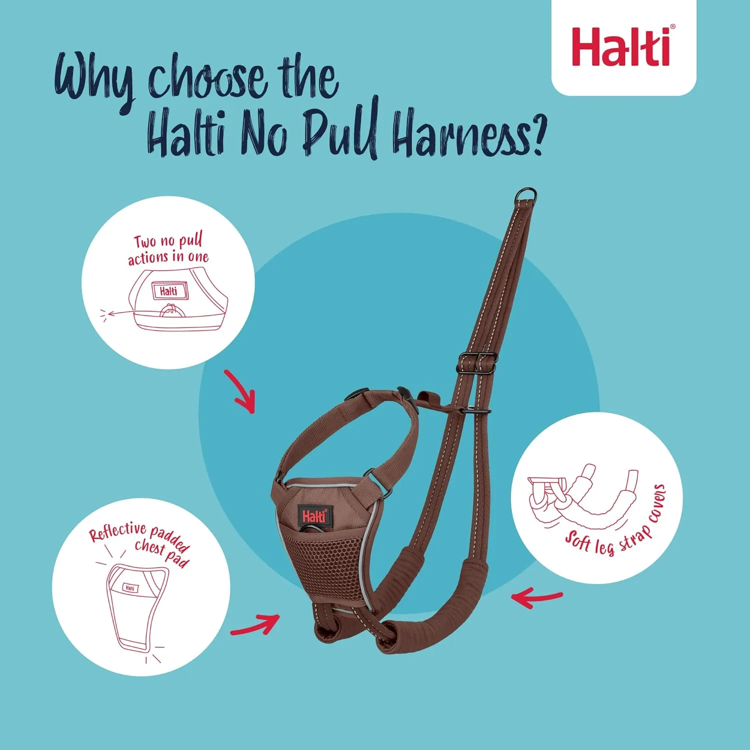 HALTI  -   ( M ,)