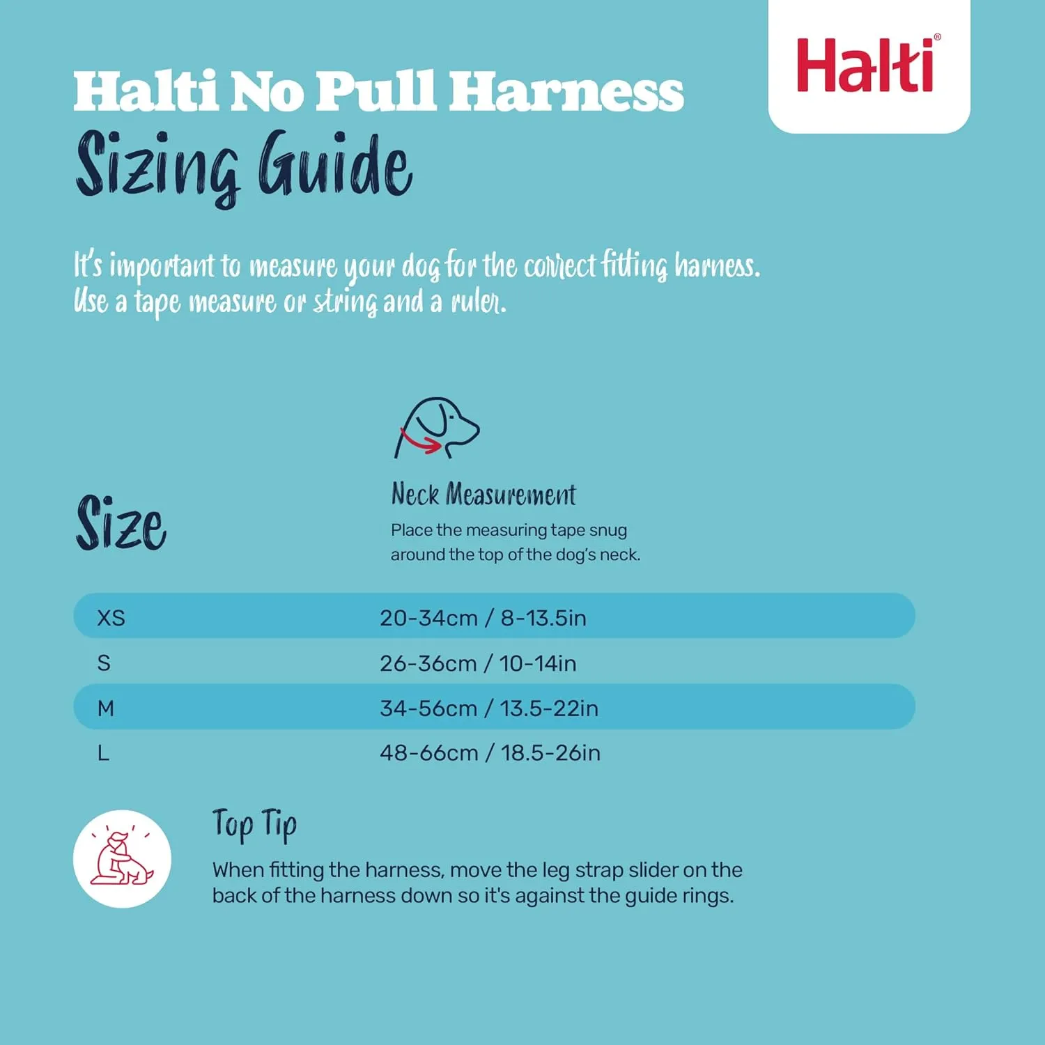 HALTI  -   ( M ,)