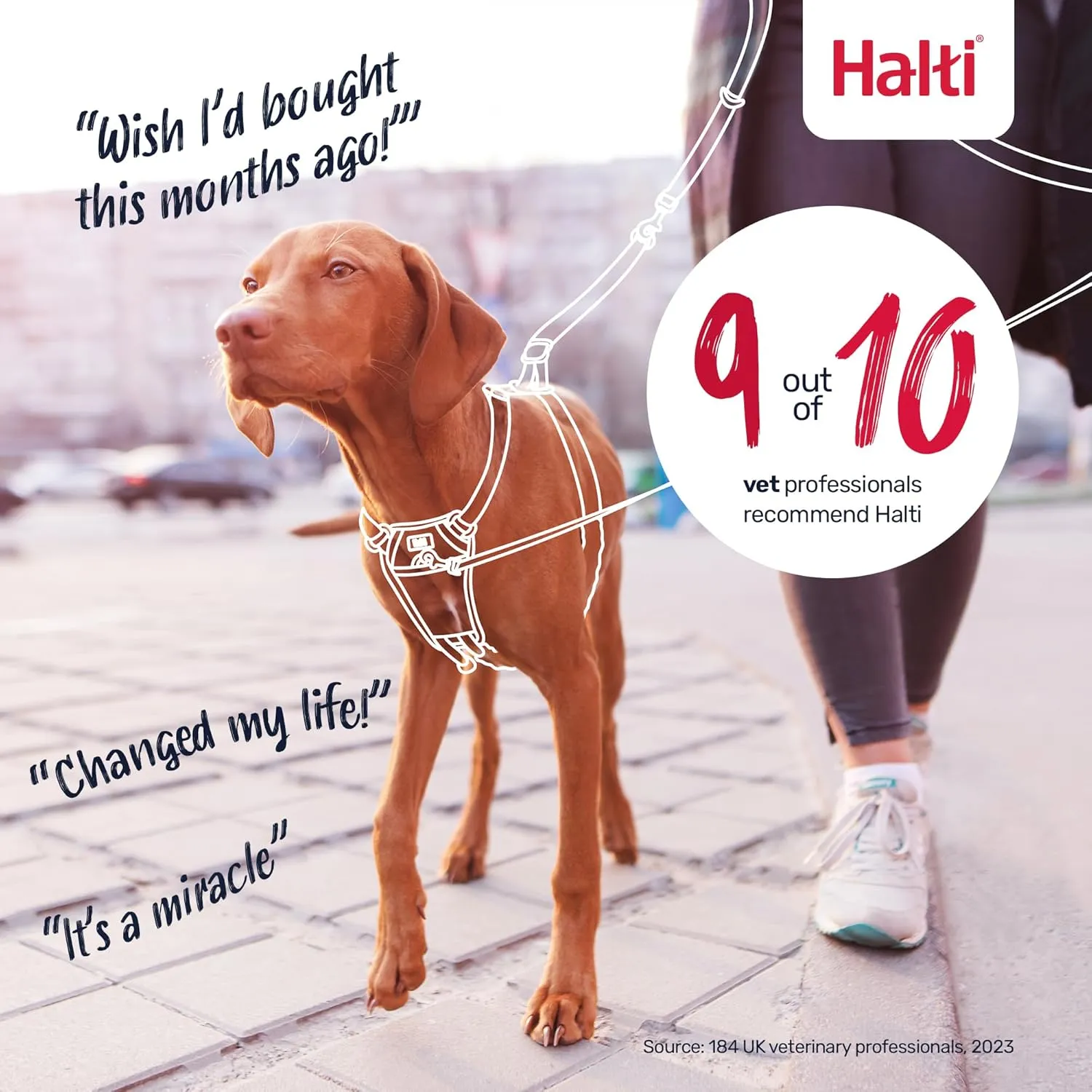 HALTI  -   ( M ,)
