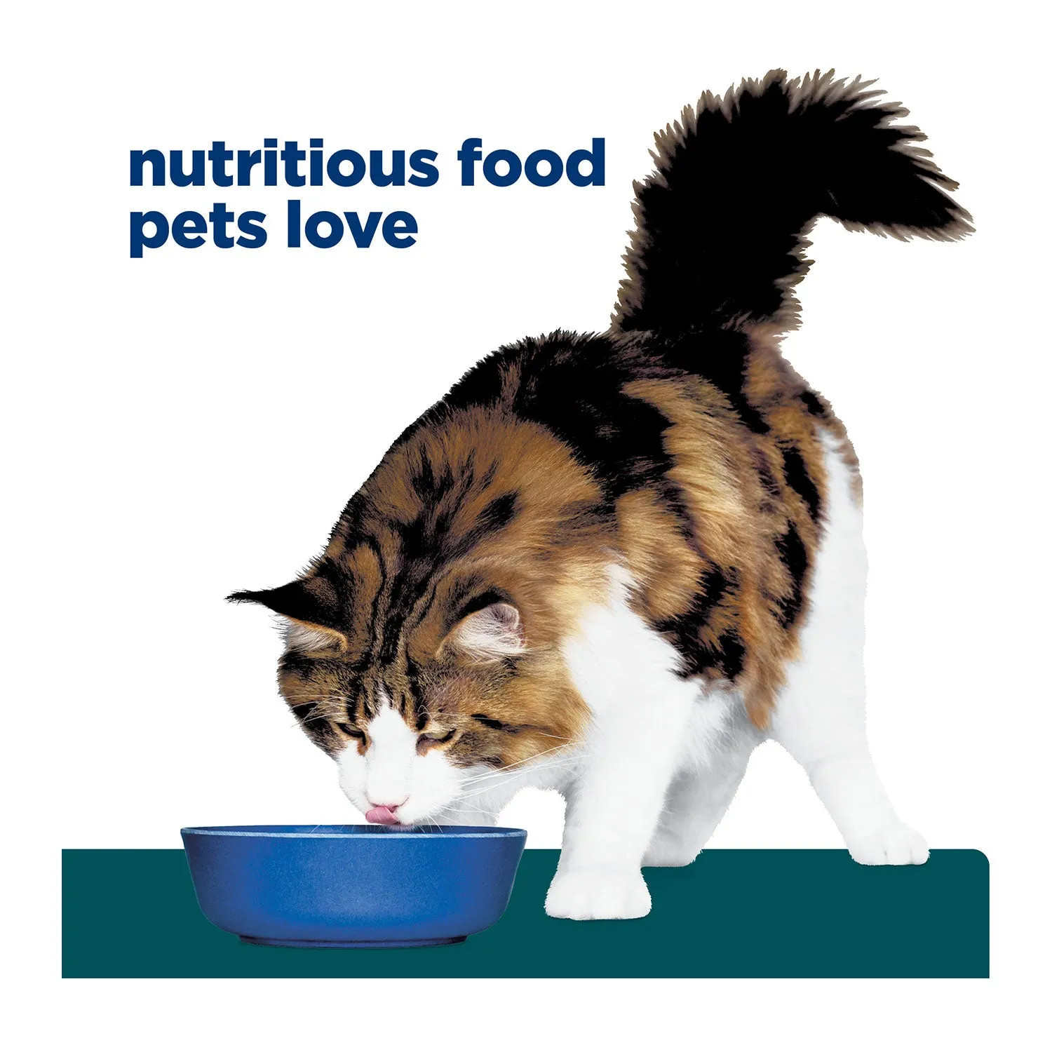 Hill's Prescription Diet W/D Multi-Benefit Dry Cat Food 1.5kg