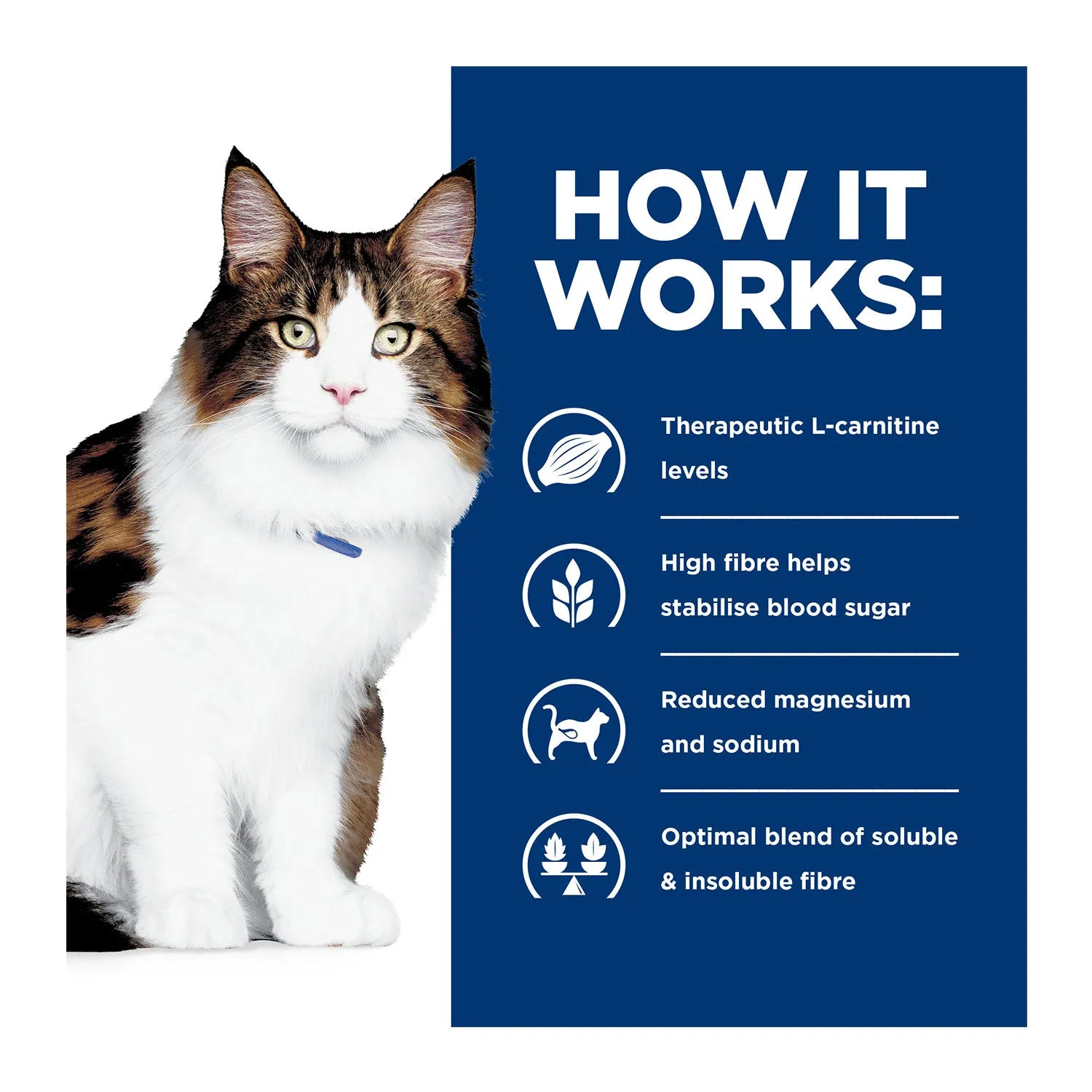 Hill's Prescription Diet W/D Multi-Benefit Dry Cat Food 1.5kg