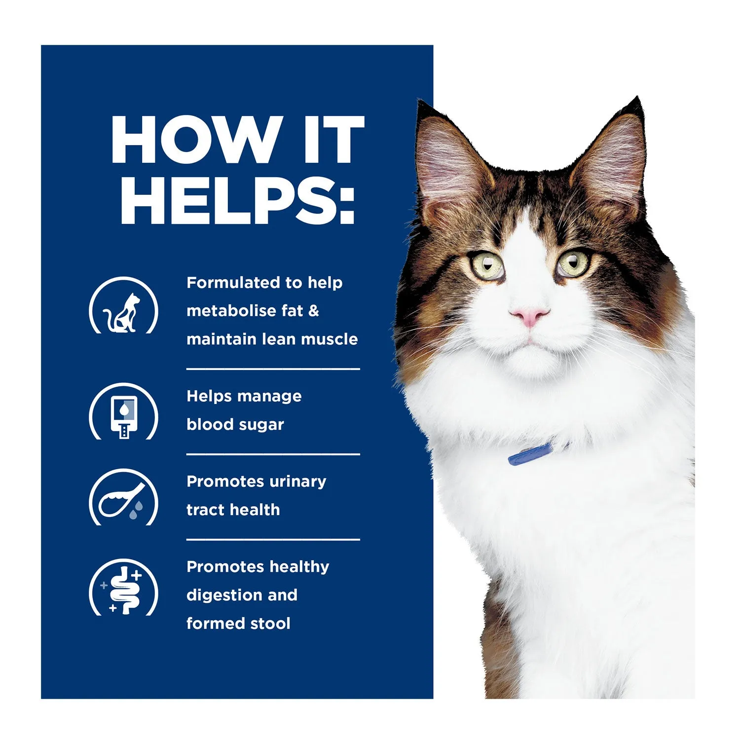 Hill's Prescription Diet W/D Multi-Benefit Dry Cat Food 1.5kg