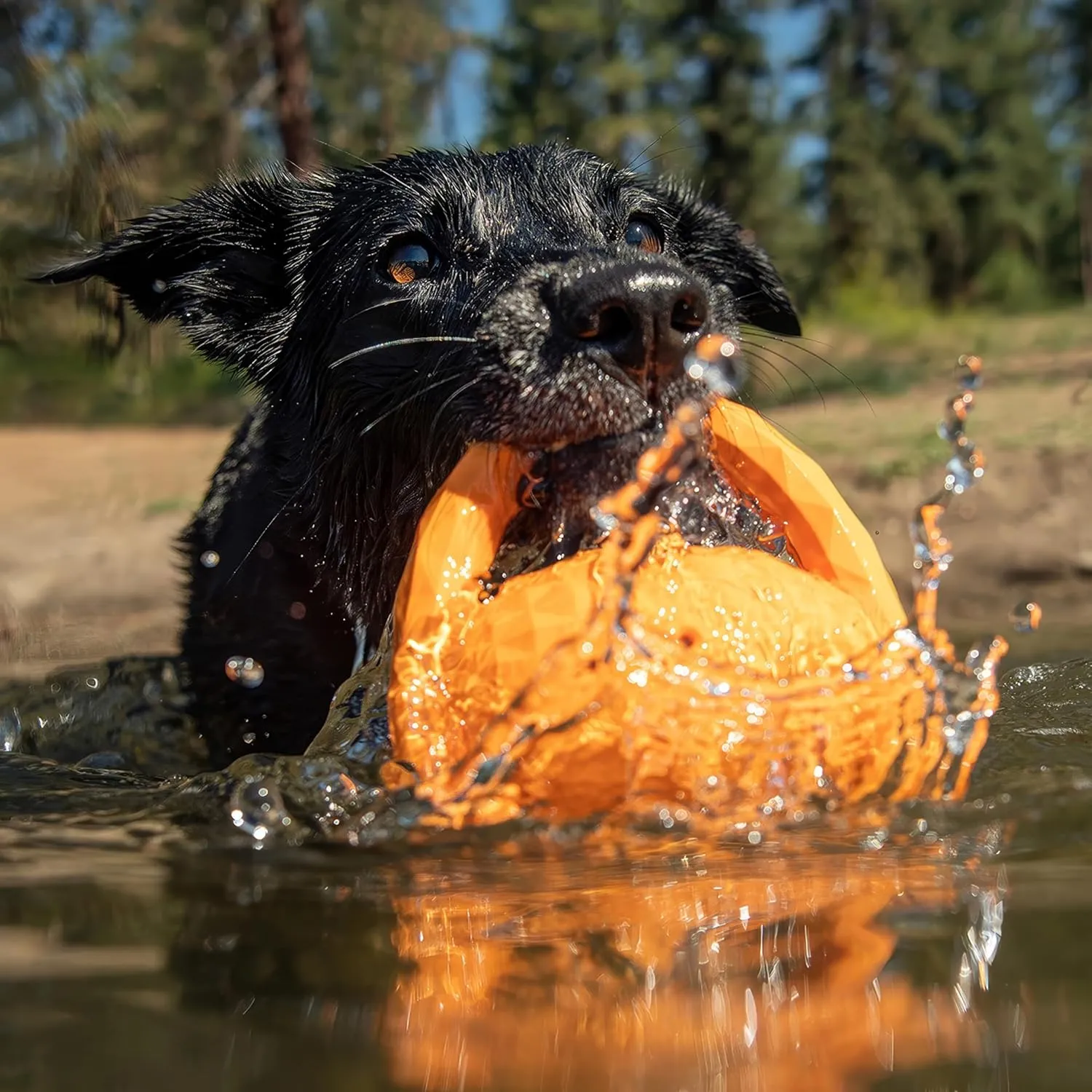 Hound2O Outdoor Dog Toys - Tug Ball, Orange - Tough, Engaging, & Interactive Chew Toys - Chew, Chase, & Fetch - Durable Materials That Float - Easy to Clean for Outdoor Play - Non-Toxic Materials