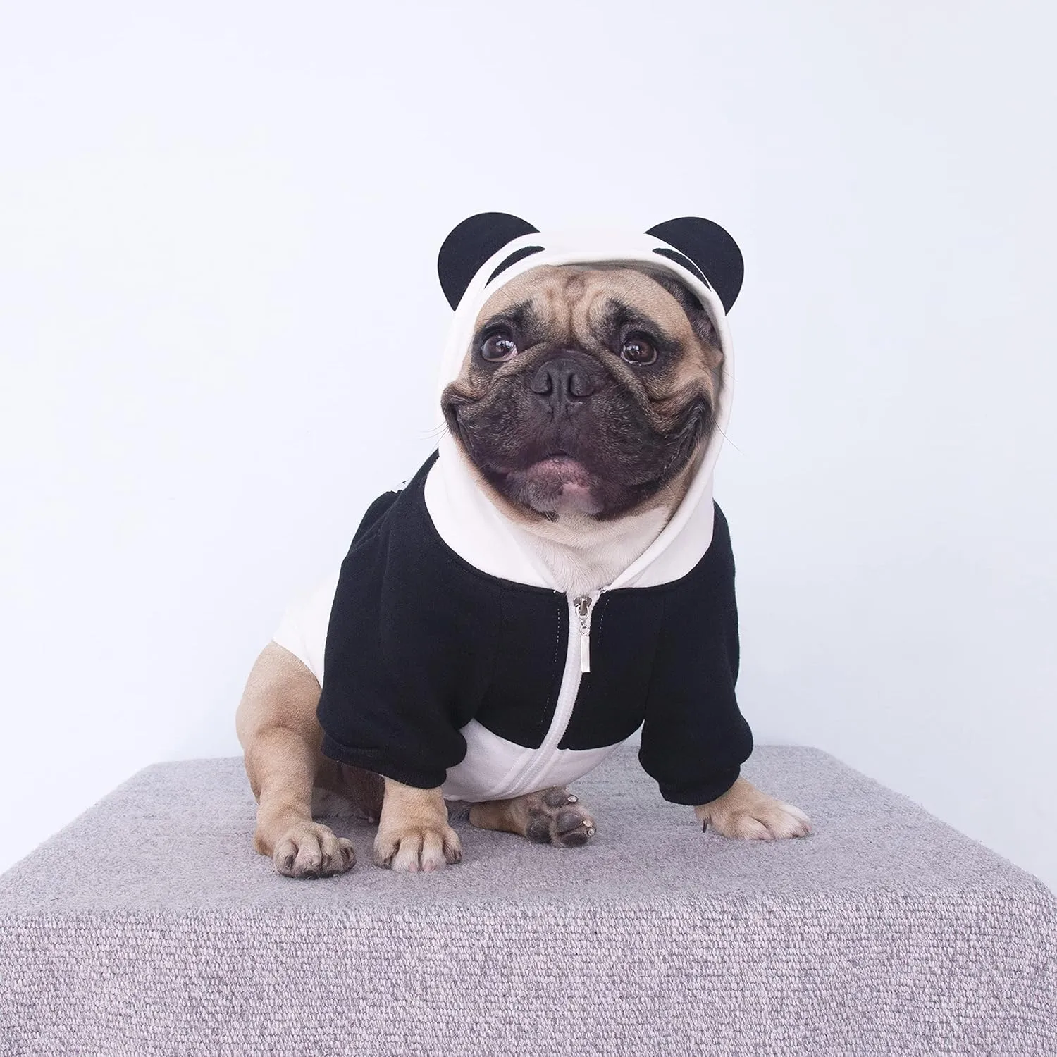 iChoue I am a French Bulldog Dog Panda Costumes Clothes Sweater Cute Funny for Medium Dogs Cold Weather Winter Coats Hoodies Frenchie English Pug Pitbull Corgi Puppy - Black/Large