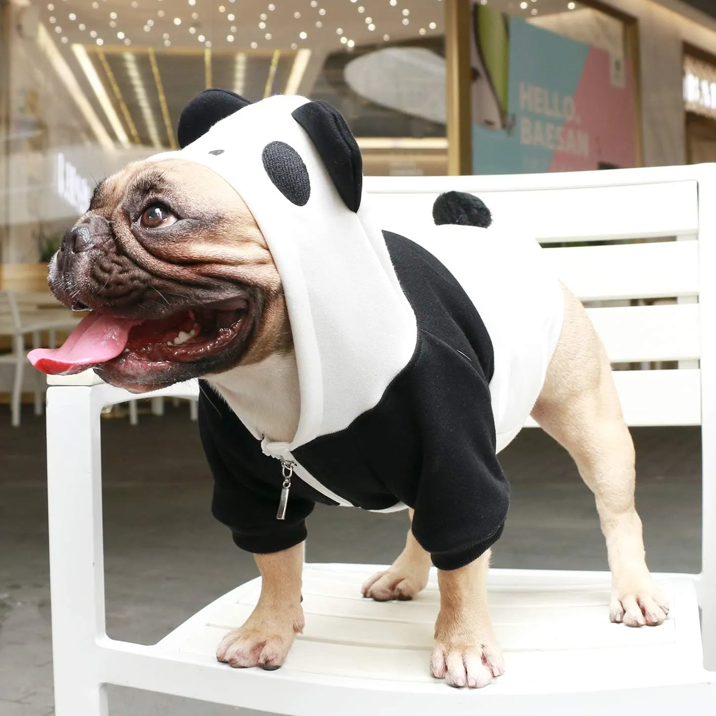 iChoue I am a French Bulldog Dog Panda Costumes Clothes Sweater Cute Funny for Medium Dogs Cold Weather Winter Coats Hoodies Frenchie English Pug Pitbull Corgi Puppy - Black/Large