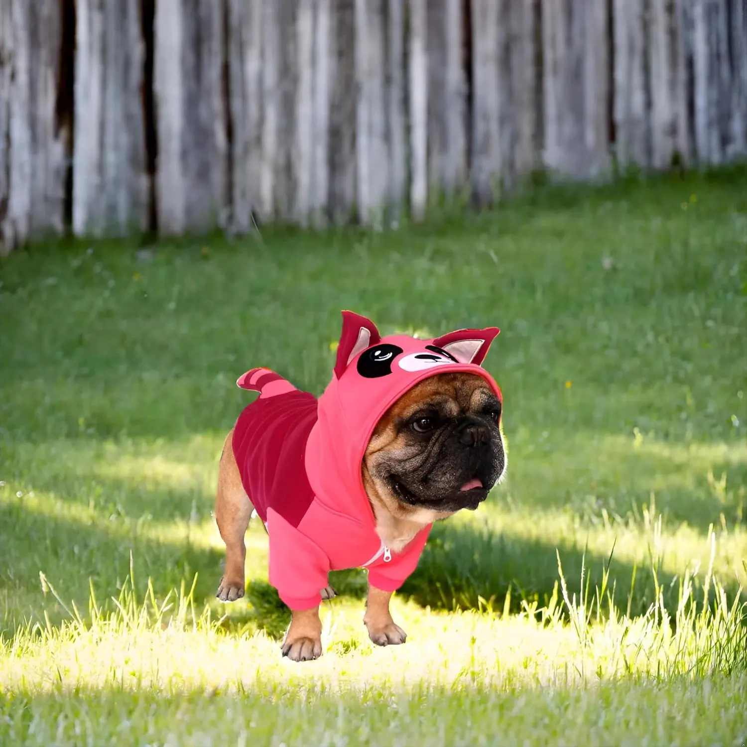 iChoue I am a French Bulldog Raccoon Costumes Clothes Hoodies for Medium Dogs Cold Weather Winter Coats Frenchie English Pug Pitbull Boston Terrier - Red, Large