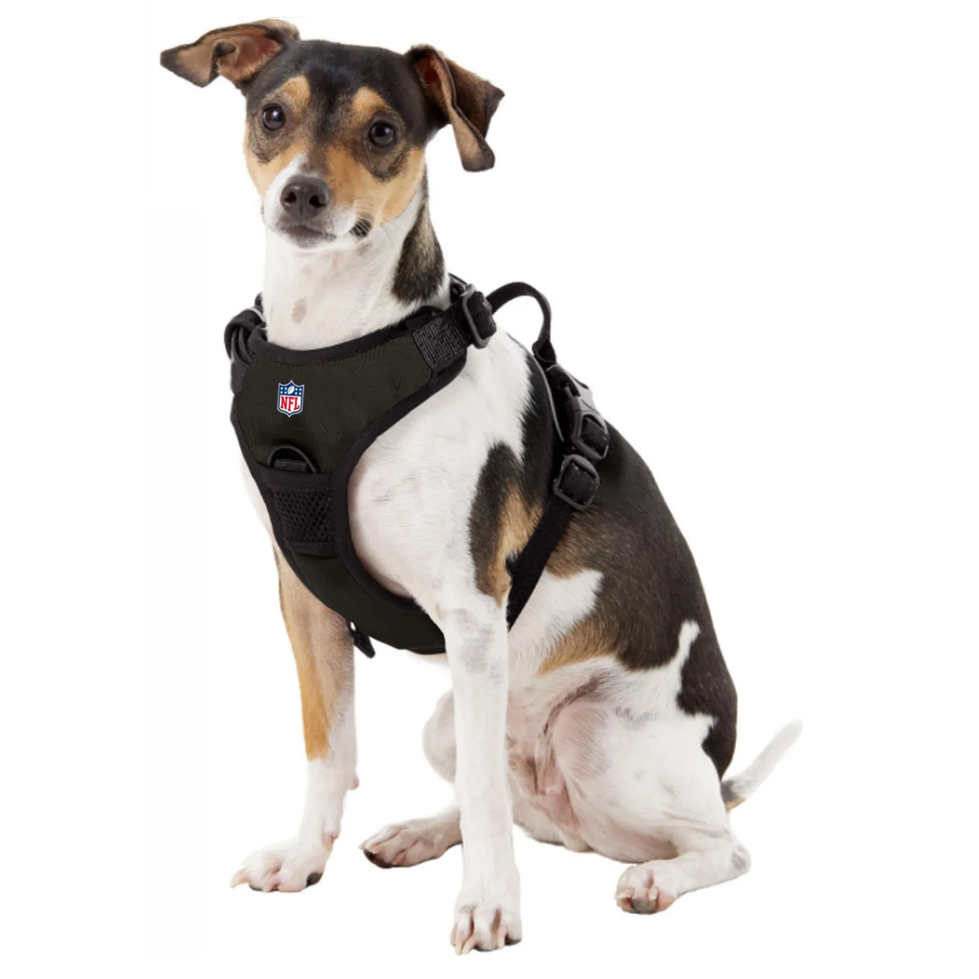 Los Angeles Chargers Front Clip Pet Harness