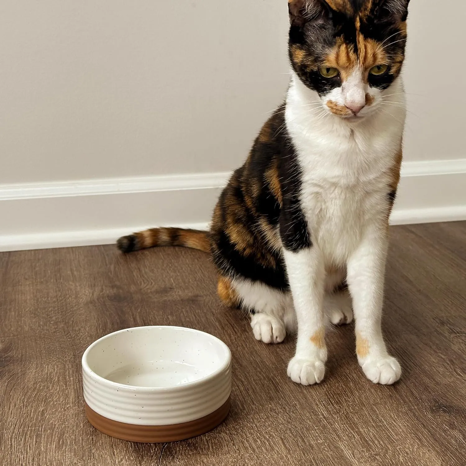 Mora Ceramic Pet Bowl Size Small - Food/Water Dish for Puppy Dogs, Cats, Guinea Pig, Rabbit, Hamster, Snake, ect. 11oz or 2 Cups - Basic Bowls for Your Dog or Cat, Mix and Match for a Set - Vanillla