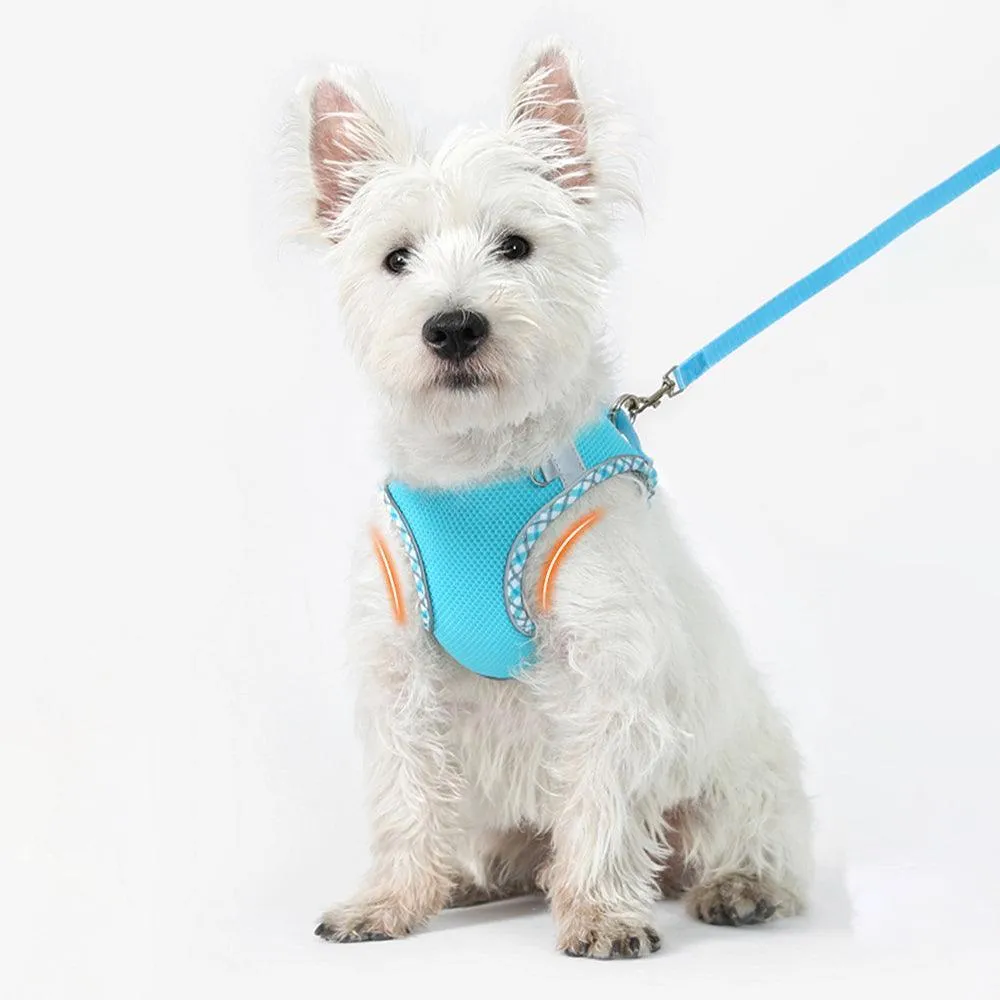 No Pull Adjustable Reflective Pet Harness and Leash Set for Cat & Small Dogs