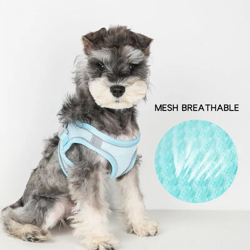 No Pull Adjustable Reflective Pet Harness and Leash Set for Cat & Small Dogs