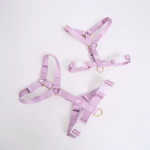 Ollie Walkies: Aero Paw - Amethyst (Harness)