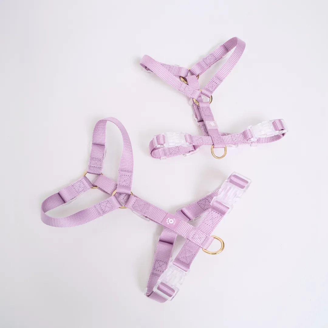 Ollie Walkies: Aero Paw - Amethyst (Harness)