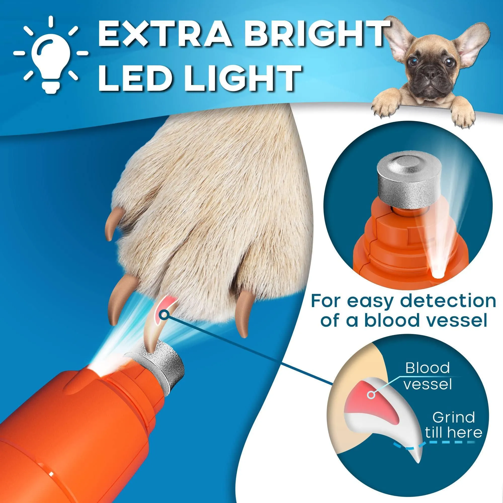 Orange Dog Nail Grinder with LED Light Rechargeable Dog Nail Grinder for Large Dogs Medium Small Dogs Professional Pet Nail Grinder for Dogs Quiet Soft Puppy Grooming Cat Nail Grinder Dog Nail Trimmer