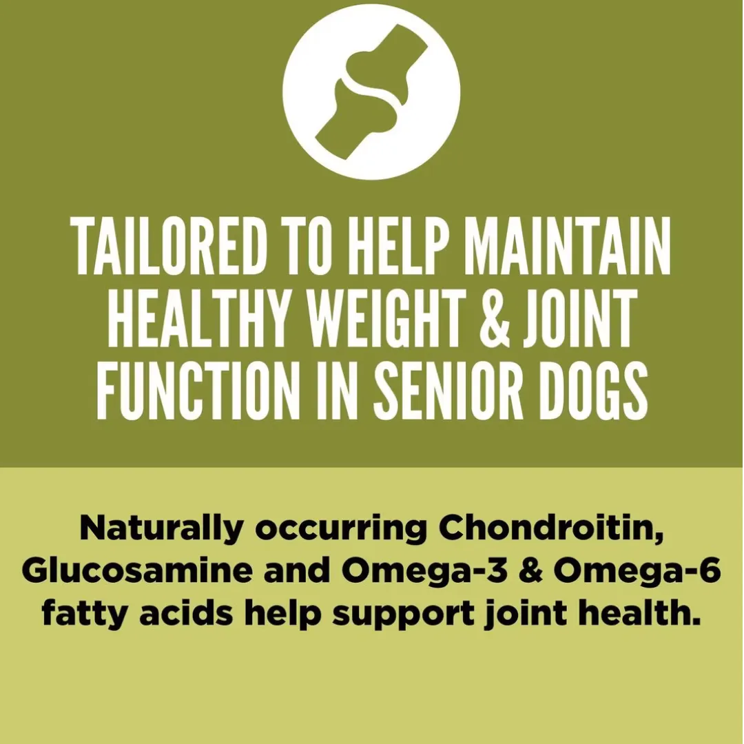 Orijen Senior Recipe Dog Dry Food