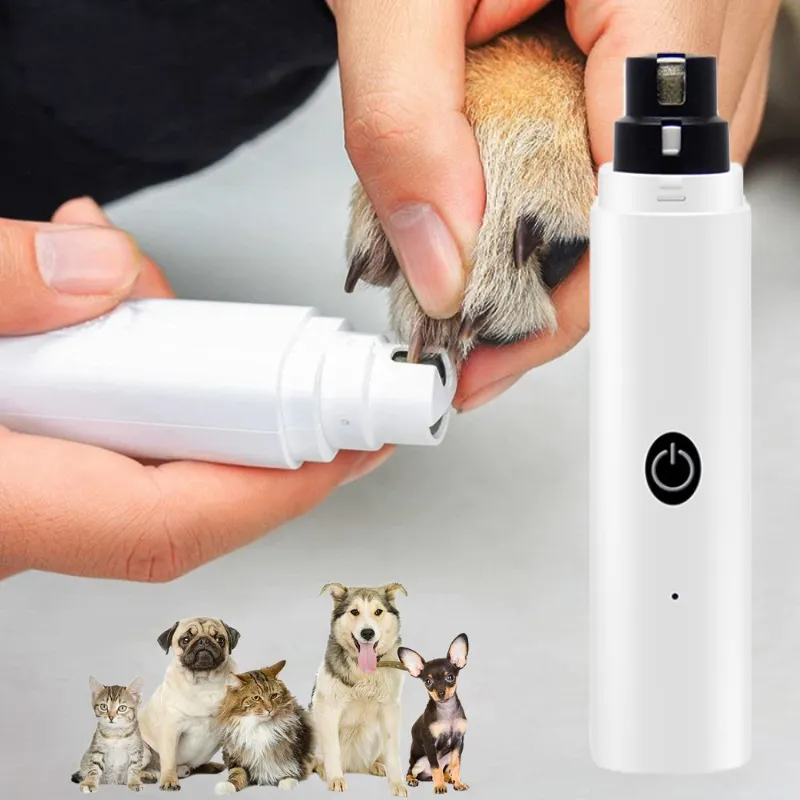 Paw NailCare | Die Nagelpflege deines besten Freundes