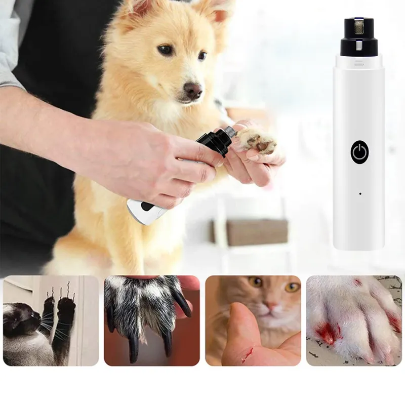 Paw NailCare | Die Nagelpflege deines besten Freundes