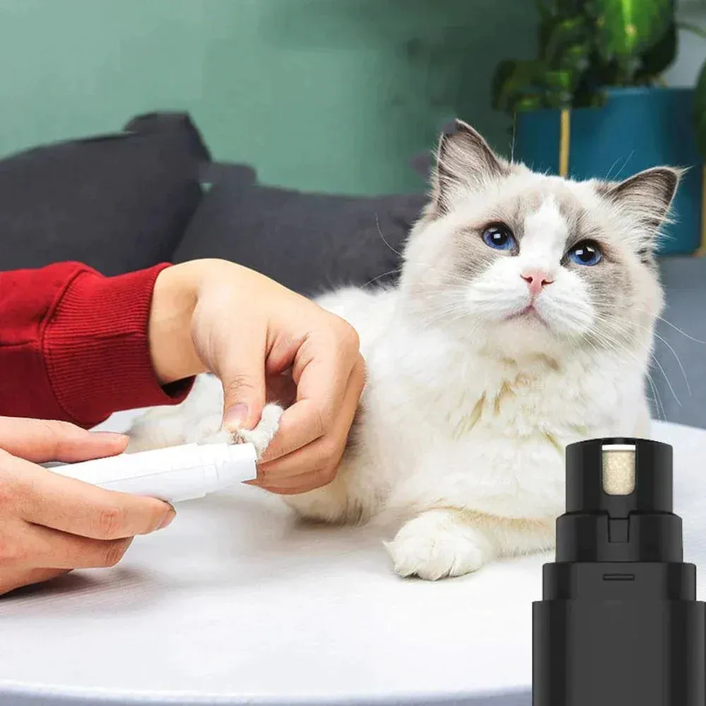 Paw NailCare | Die Nagelpflege deines besten Freundes