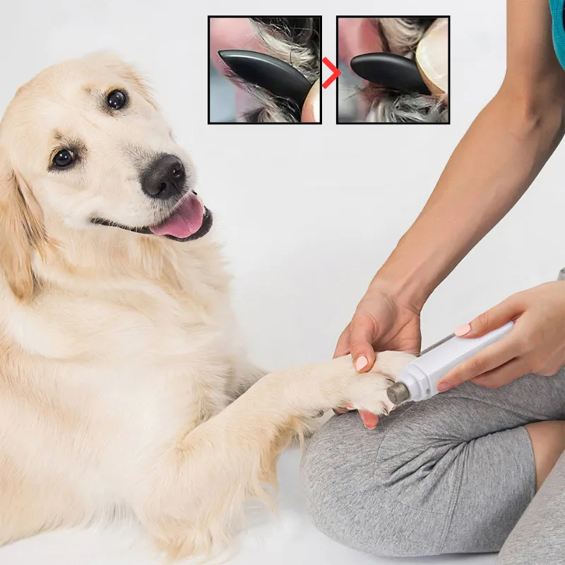 Paw NailCare | Die Nagelpflege deines besten Freundes