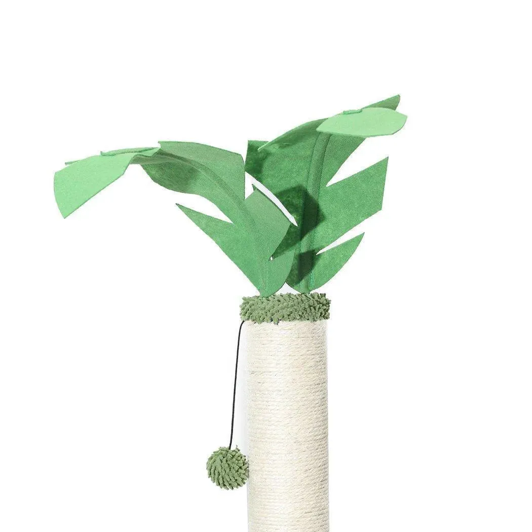 Pawz Cat Scratcher Post Cactus Multi Level Playground