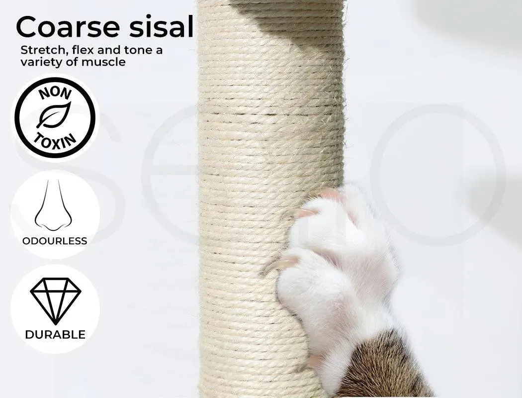 Pawz Cat Scratcher Post Cactus Multi Level Playground