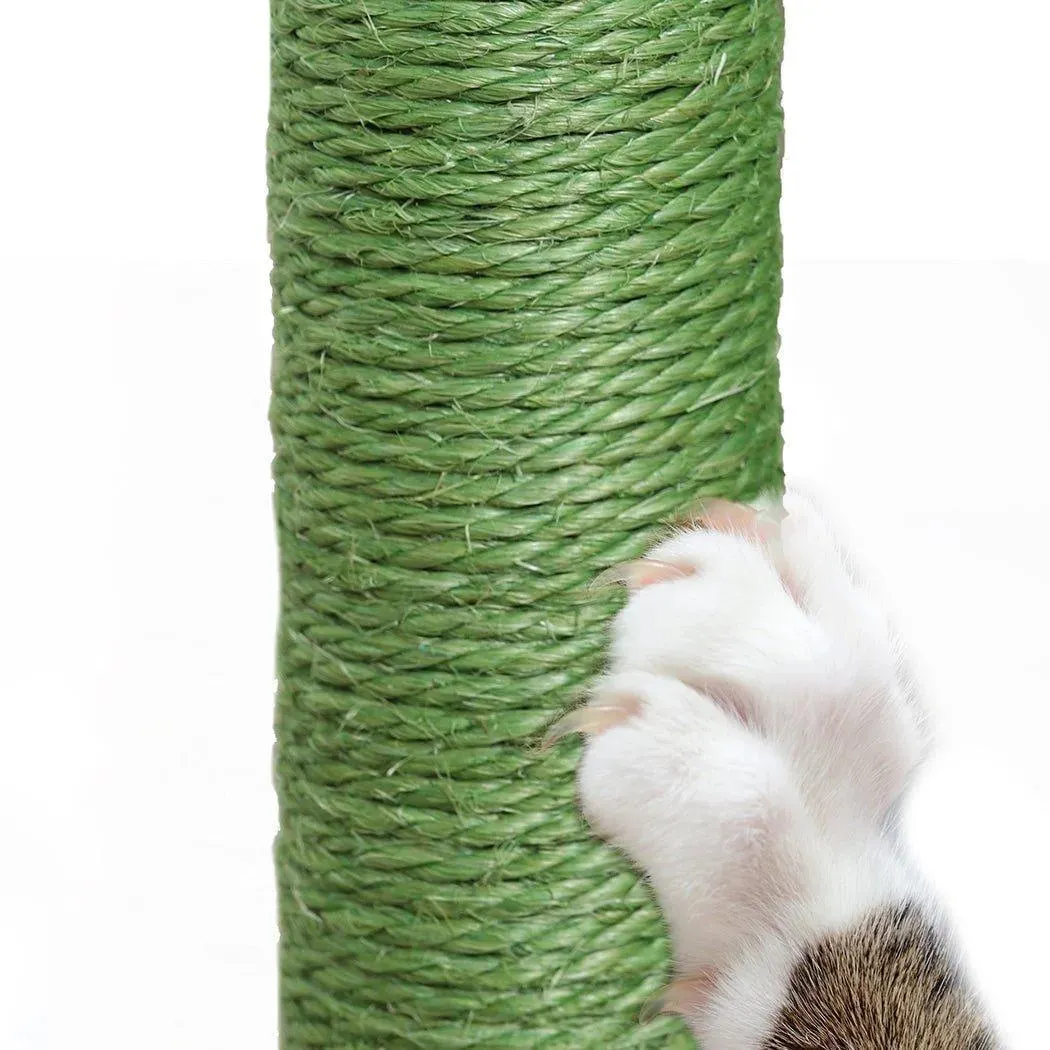 Pawz Cat Scratcher Post Cactus Multi Level Playground