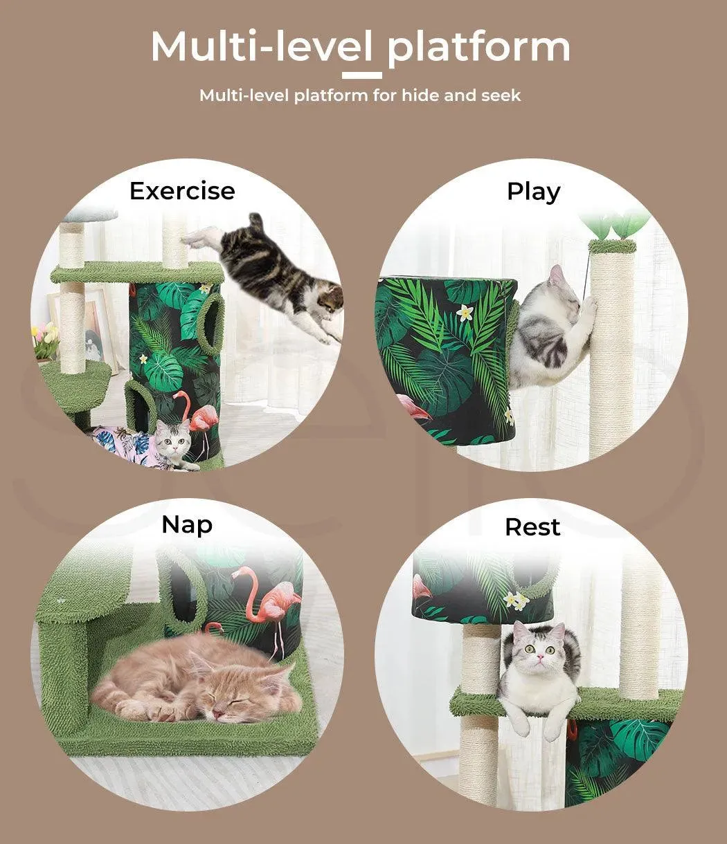 Pawz Cat Scratcher Post Cactus Multi Level Playground