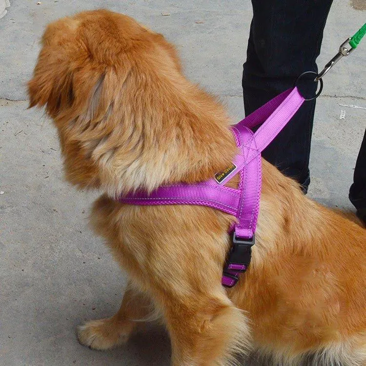 Personalized Dog Harness - Reflective Adjustable Customized Pet Harness