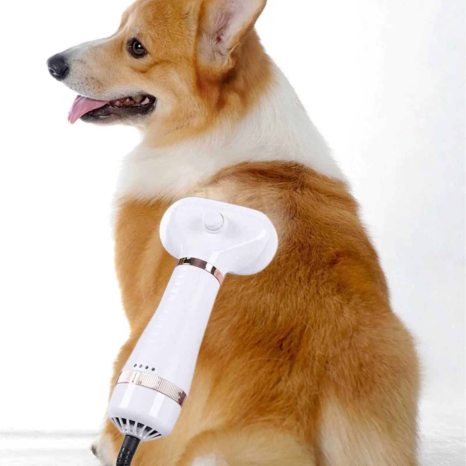 Pet Hair Dryer & Brush Comb - Type B