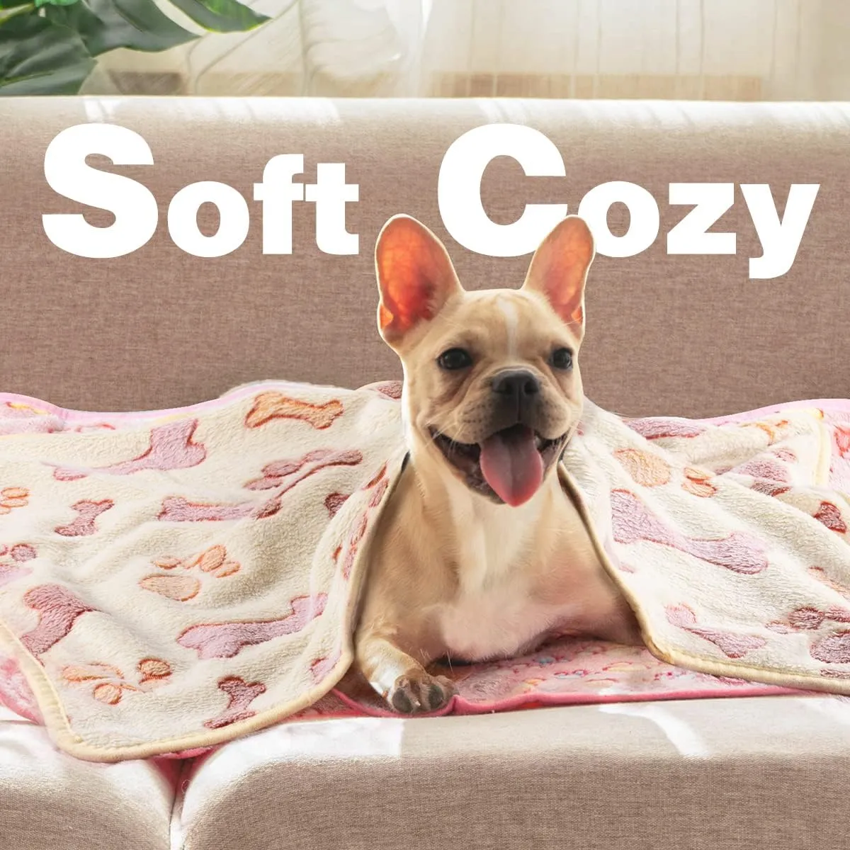 Pet Soft 1 Pack 3 Pet Blankets for Dogs - Fluffy Cats Dogs Blanket for Small Medium & Large Dog, Cute Print Pet Throw Puppy Blankets Fleece (Bones, 3XL)