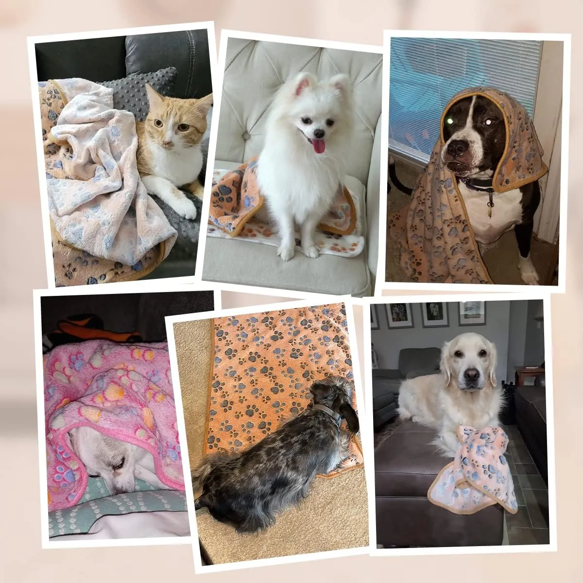 Pet Soft 1 Pack 3 Pet Blankets for Dogs - Fluffy Cats Dogs Blanket for Small Medium & Large Dog, Cute Print Pet Throw Puppy Blankets Fleece (Paws, 3XL)