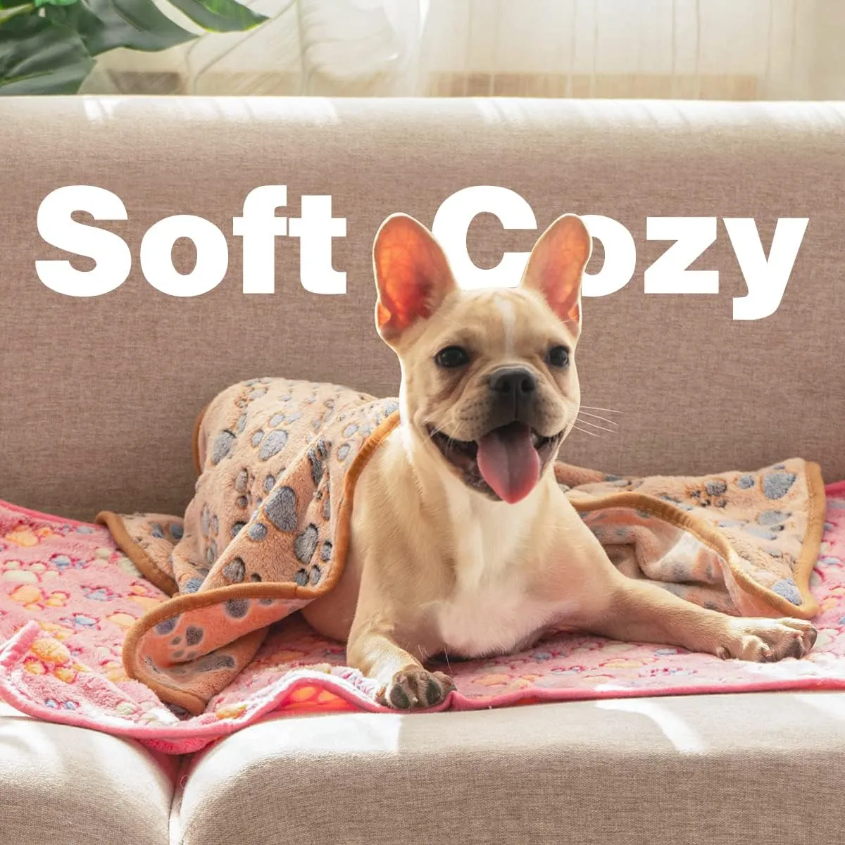 Pet Soft 1 Pack 3 Pet Blankets for Dogs - Fluffy Cats Dogs Blanket for Small Medium & Large Dog, Cute Print Pet Throw Puppy Blankets Fleece (Paws, 3XL)