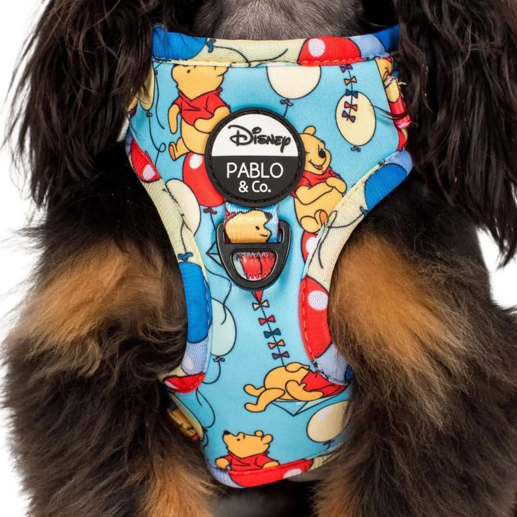 Pooh's Balloons Adjustable Harness